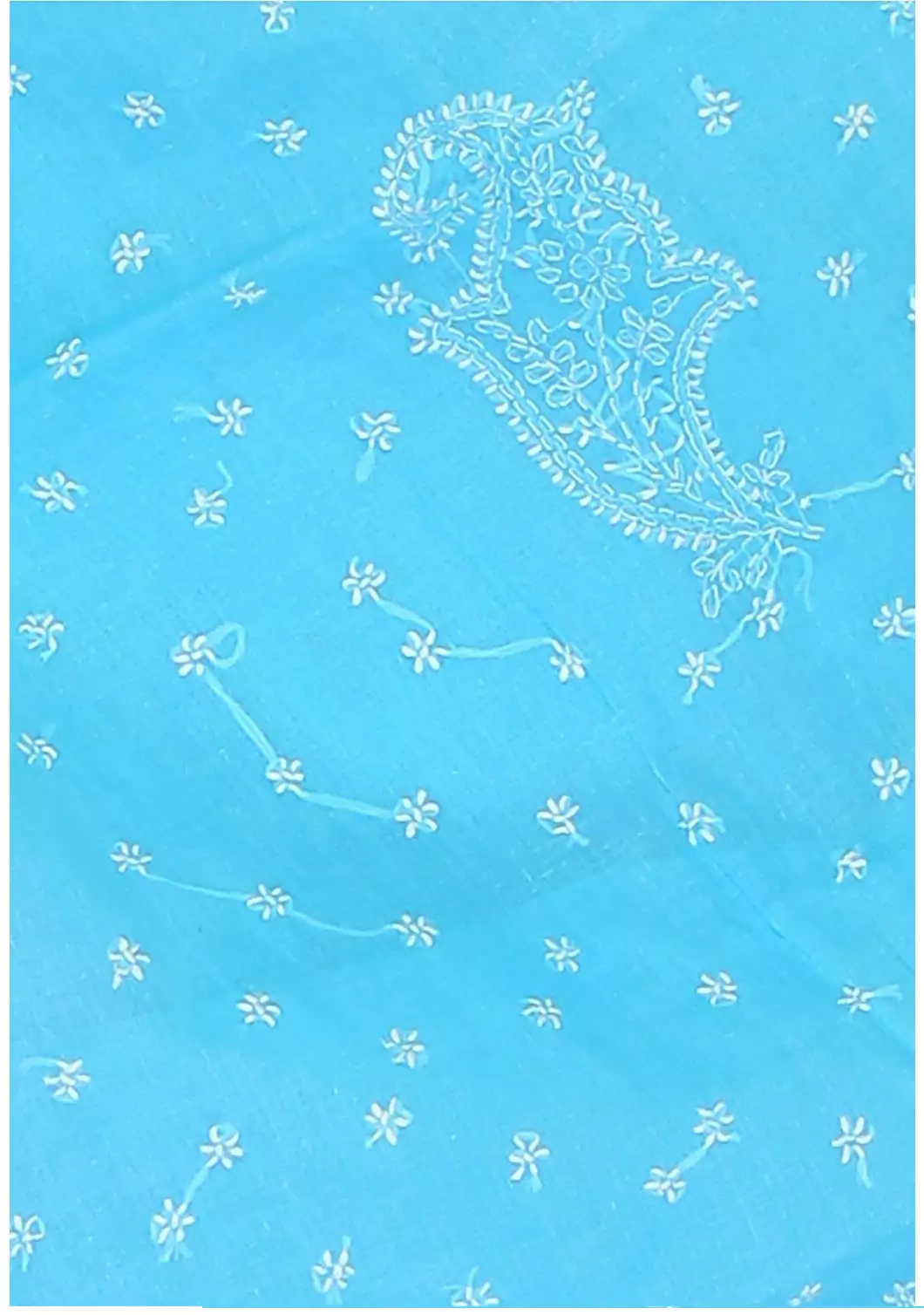 Lavangi Lucknow Chikan Keel Work Sky Blue Cotton Saree