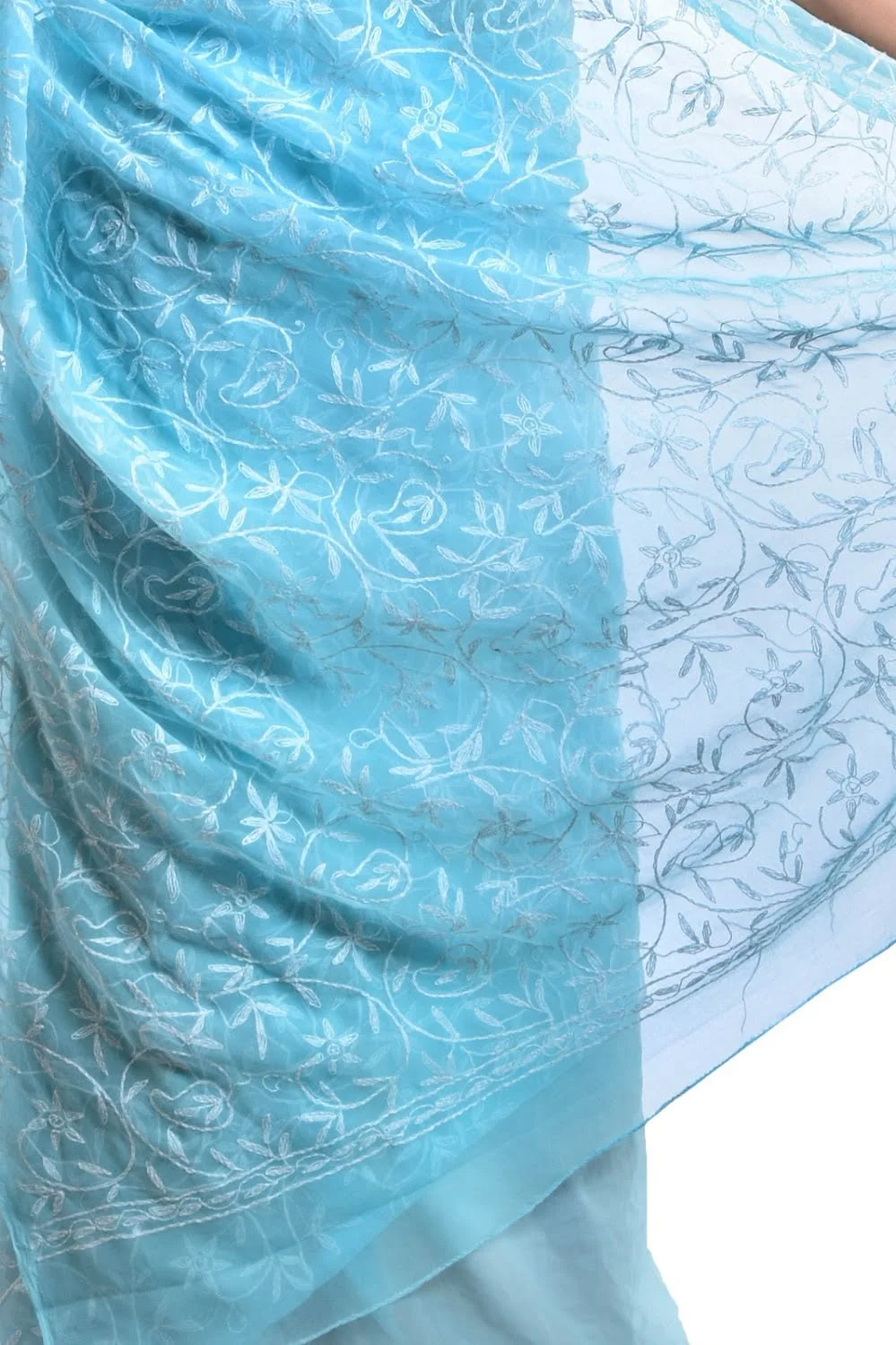 Lavangi Lucknow Chikankati Hand Embroidery Chiffon Saree