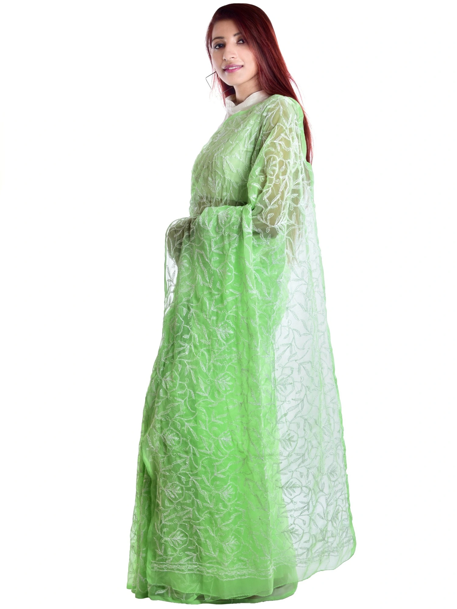 Lavangi Lucknow Chikan Allover Tepchi Georgette Light Green Saree