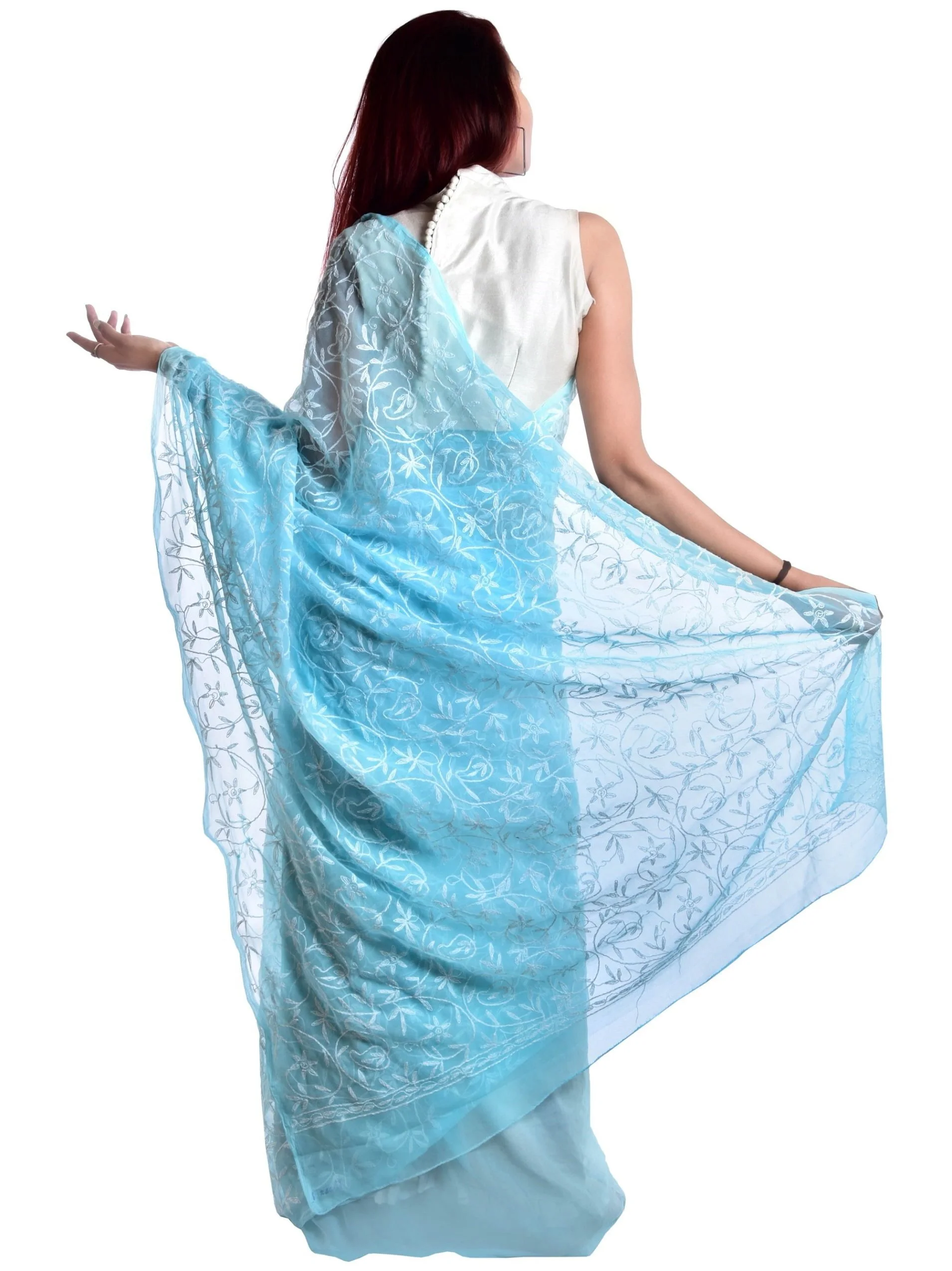 Lavangi Lucknow Chikankati Hand Embroidery Chiffon Saree