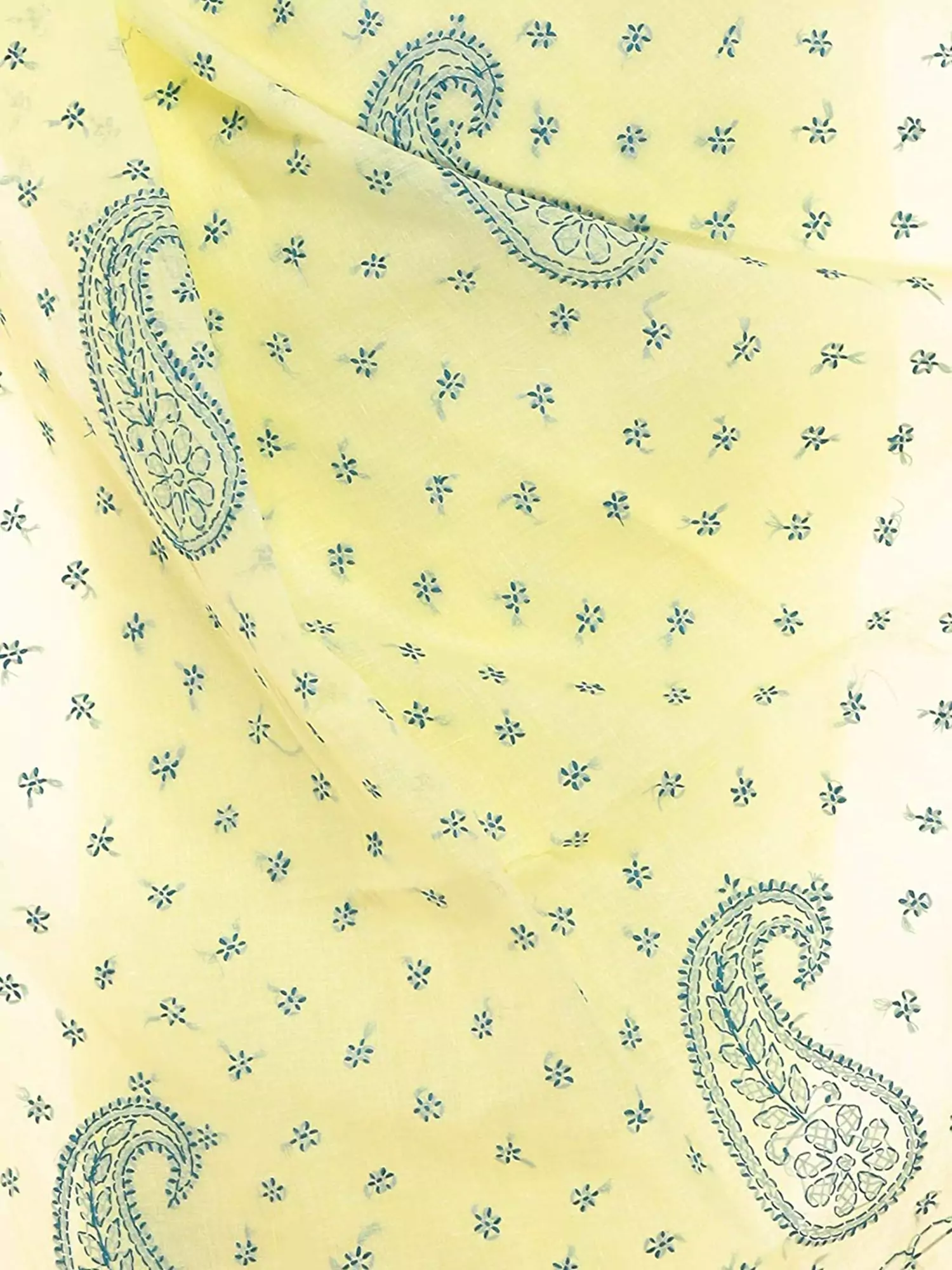 Lavangi Lucknow Chikan Lemon Yellow Saree